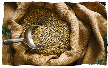 Dark, Medium and Light Roasted Coffee Beans